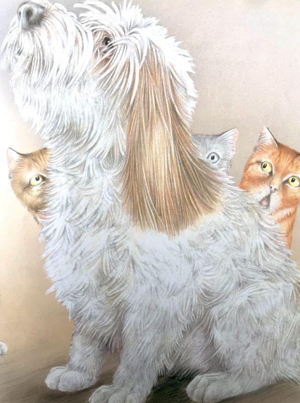 Hunden der ville være kat - Billede 3