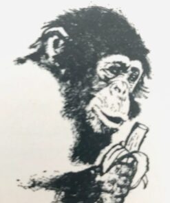 Alternative view of Lotte og aben Chimp