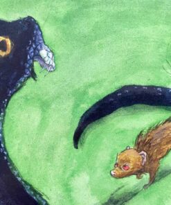 Rikki-Tikki-Tavi