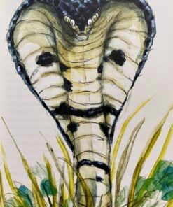 Alternative view of Rikki-Tikki-Tavi