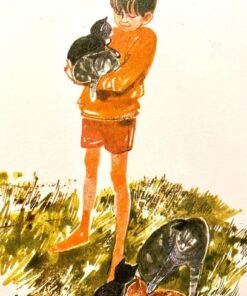 Alternative view of En vejr-kat