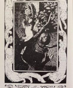Alternative view of Eventyrskrinet
