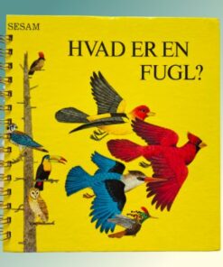 Hvad er en fugl?