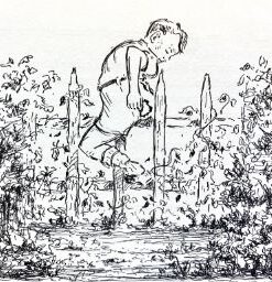 Alternative view of Leif og hans venner i skoven - en fortælling om skovens træer