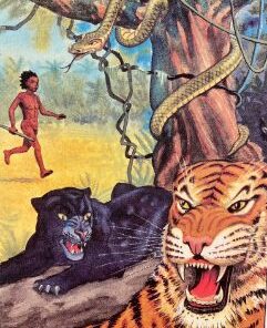 Mowgli Historier