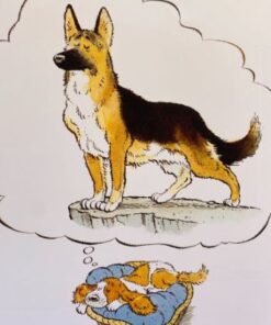Hvad hedder hunden?