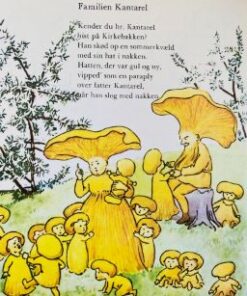 Barndomslandet 2 - Langt ude i skoven