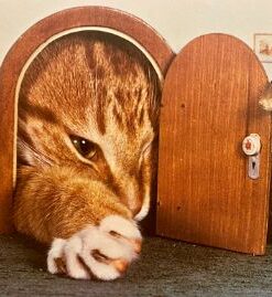 Musen Monty - Daxi-serien