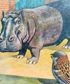 Med gråspurven i Zoologisk Have