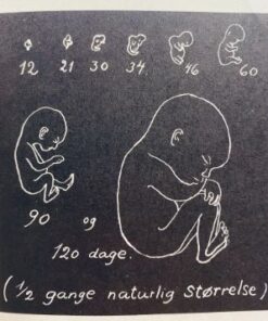 Alternative view of Peter og Marianne i skole - et barn i mors mave