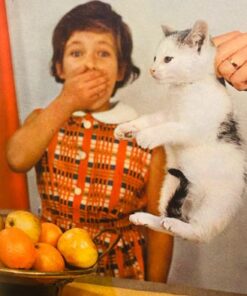 Min egen kat