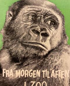 Fra morgen til aften i Zoo