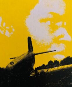 Flykapringen