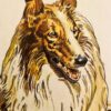 Lassie - del 1