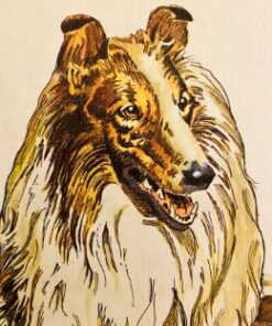 Lassie - del 1