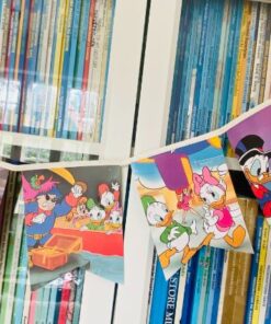 Alternative view of Duck tales - En dag i Eurodisney. Flagranke