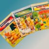 Familien Bamse - Lilleput-bøgerne