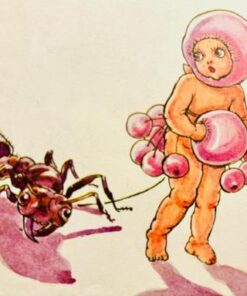 Alternative view of Snugglepot and Cuddlepie - Find Ragged Blossom