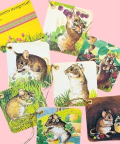 "Skovmusens morgentur" til- og fra kort