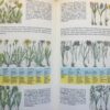 Europas planter og dyr - naturhåndbog i farver