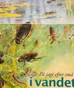På jagt efter små dyr i vandet