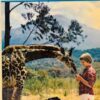 Pias Safari