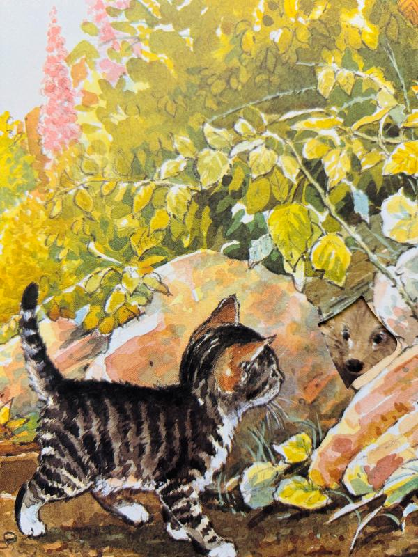 Livre Jeunesse : Sebastian, The Tale Of A Curious Kitten – Vanessa Julian-Ottie