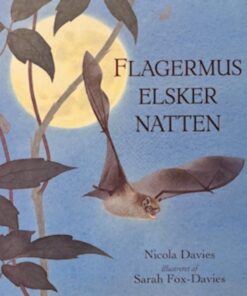 Flagermus elsker natten