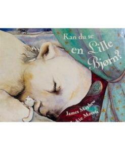 Kan du se en lille Bjørn?