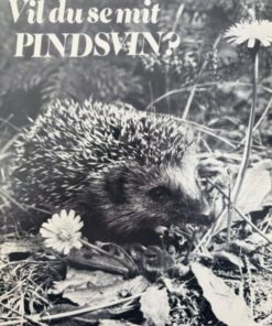 Vil du se mit pindsvin?