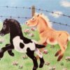 Talli, den lille pony