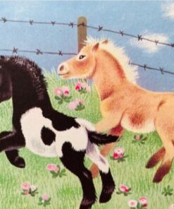 Talli, den lille pony