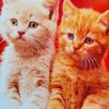 Dyrevennen - Bogen om katten