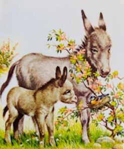 En billedbog om vore husdyr