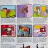 Din bedste ponybog. Alt om ridning og ponypleje