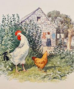 Henry og Ræven