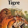 Tigre
