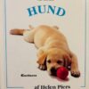 At holde hund