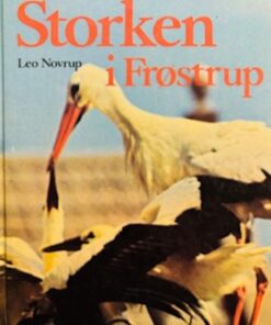 Storken i Frøstrup