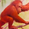 Den lille orangutang