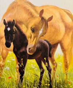Black Beauty - Den sorte Hingst