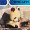 Pandaen