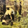 Den store panda