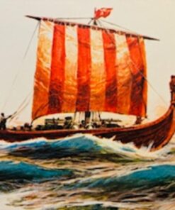 Din bog om vikinger