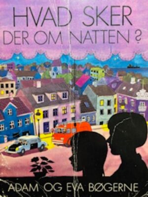 Hvad sker der om natten?