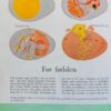 Biologiens eventyr