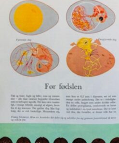Biologiens eventyr