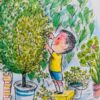 Tom passer planter