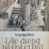 Lille dreng på Østerbro