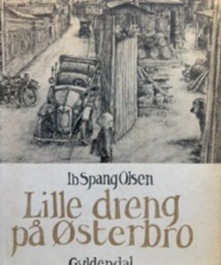 Lille dreng på Østerbro